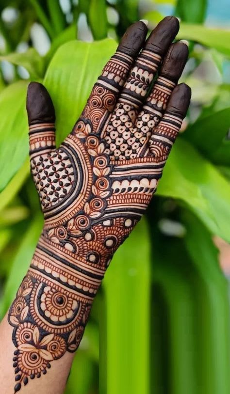 Palak portfolio 4
