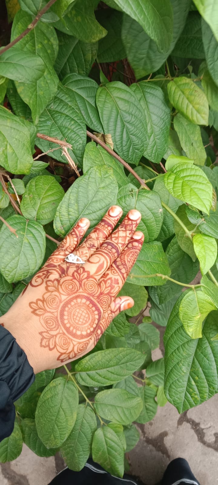 Ronak shaikh portfolio 2