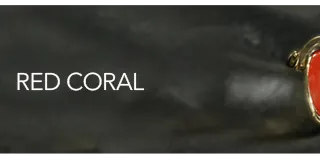XYZ