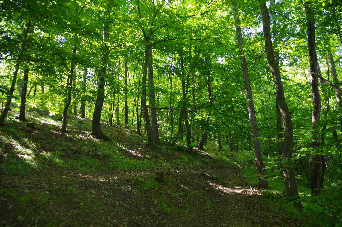 25-04-28-tyrsuv-vrch-27