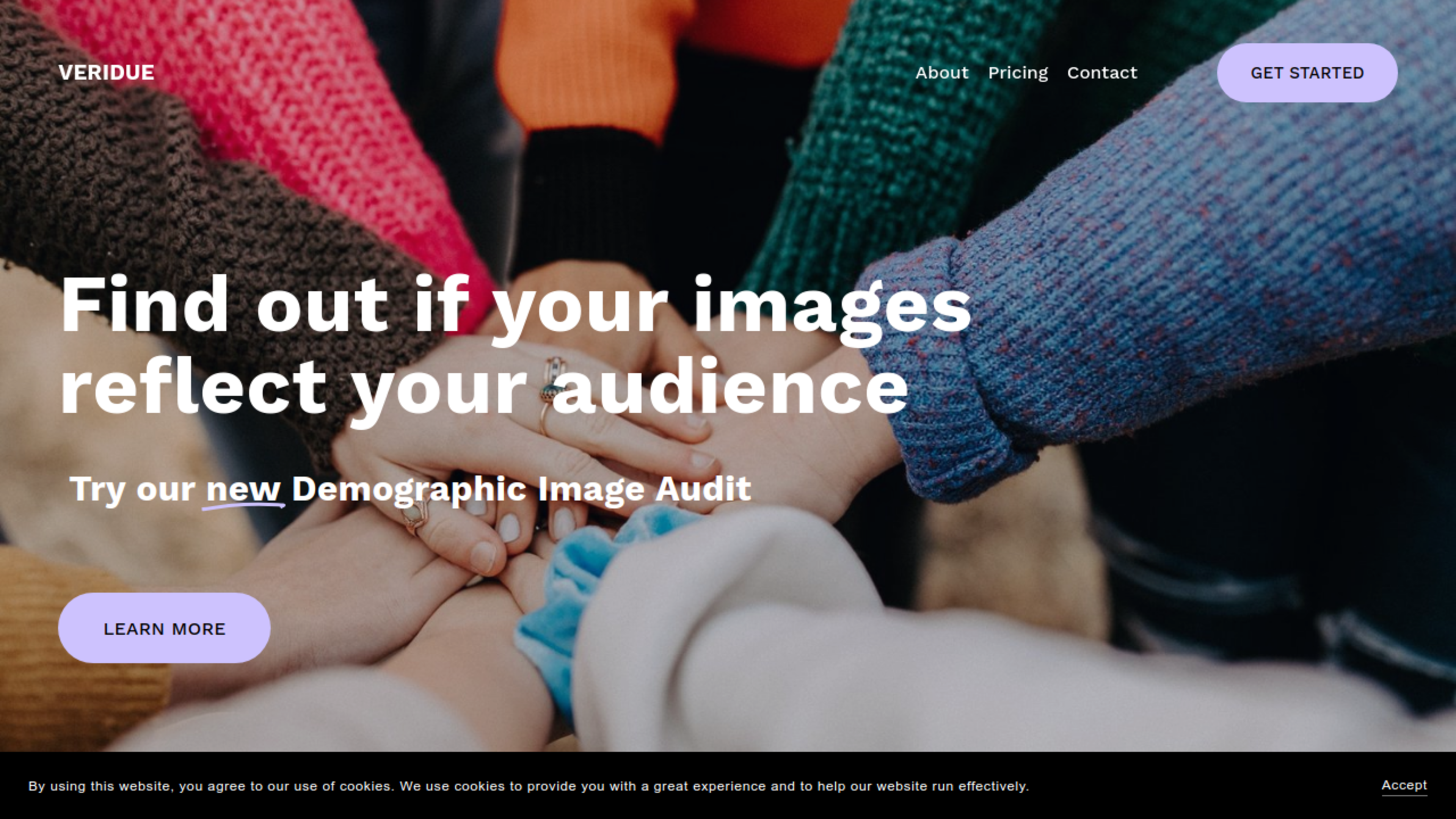 VERIDUE Demographic Image Audit