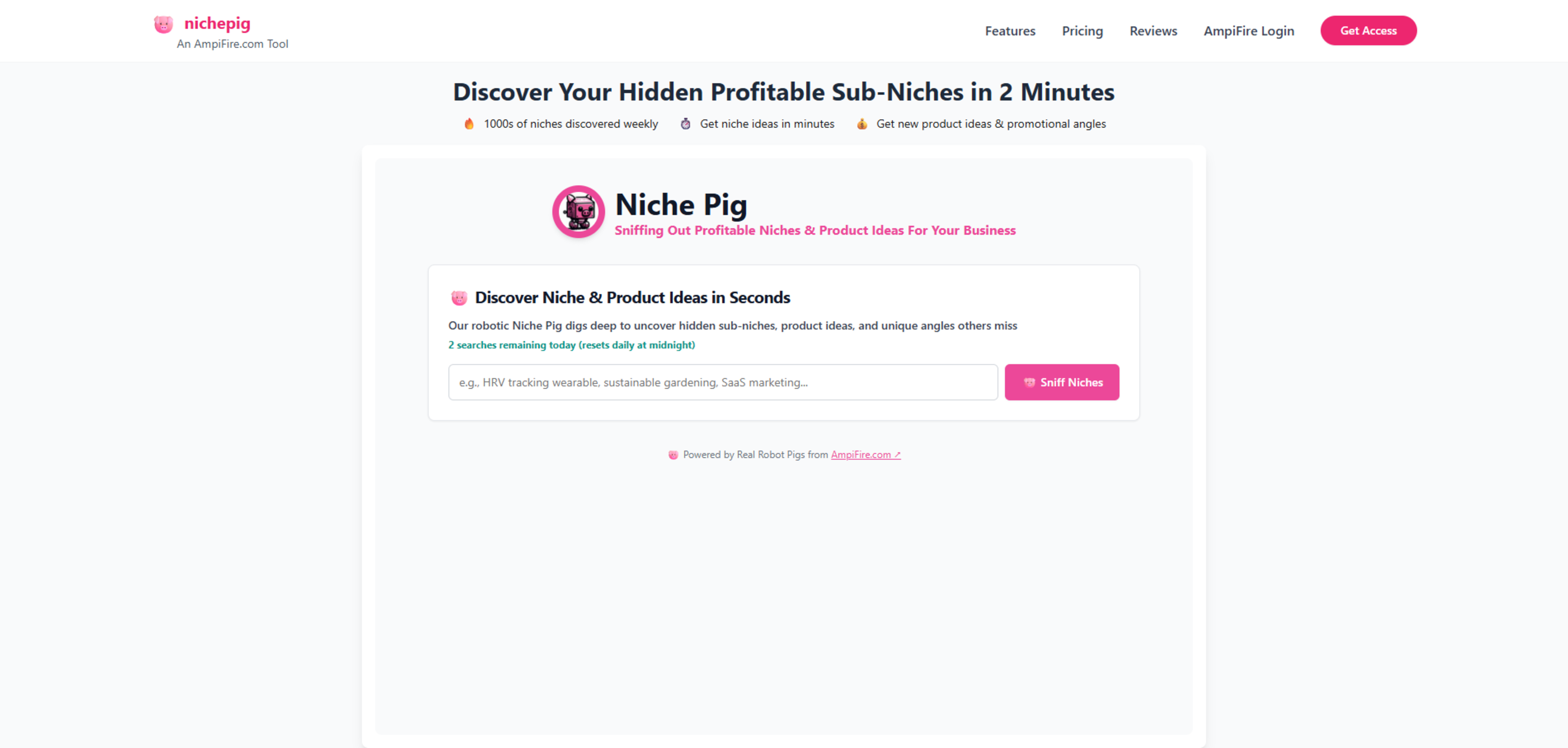 Niche Pig