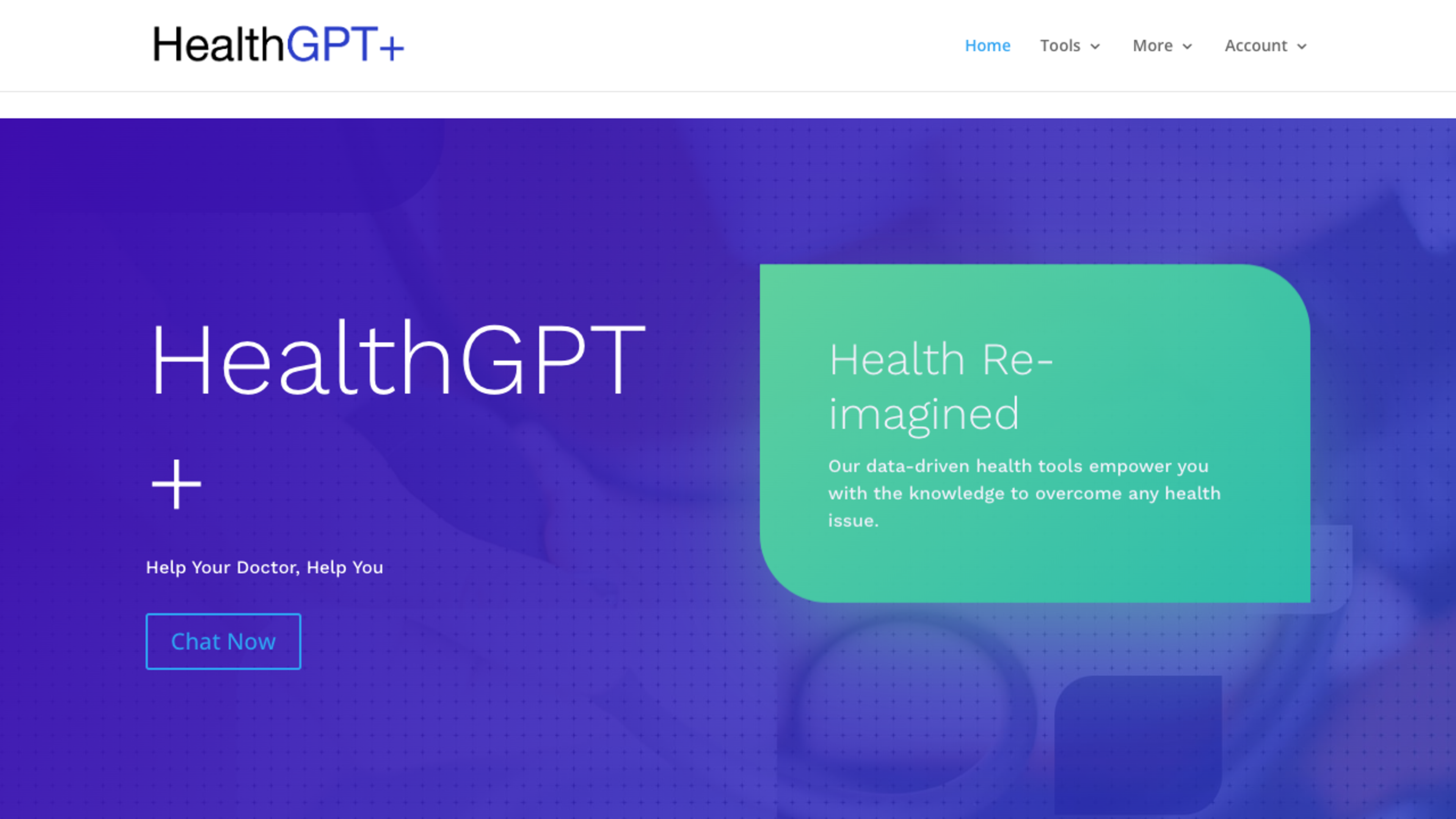 HealthGPT