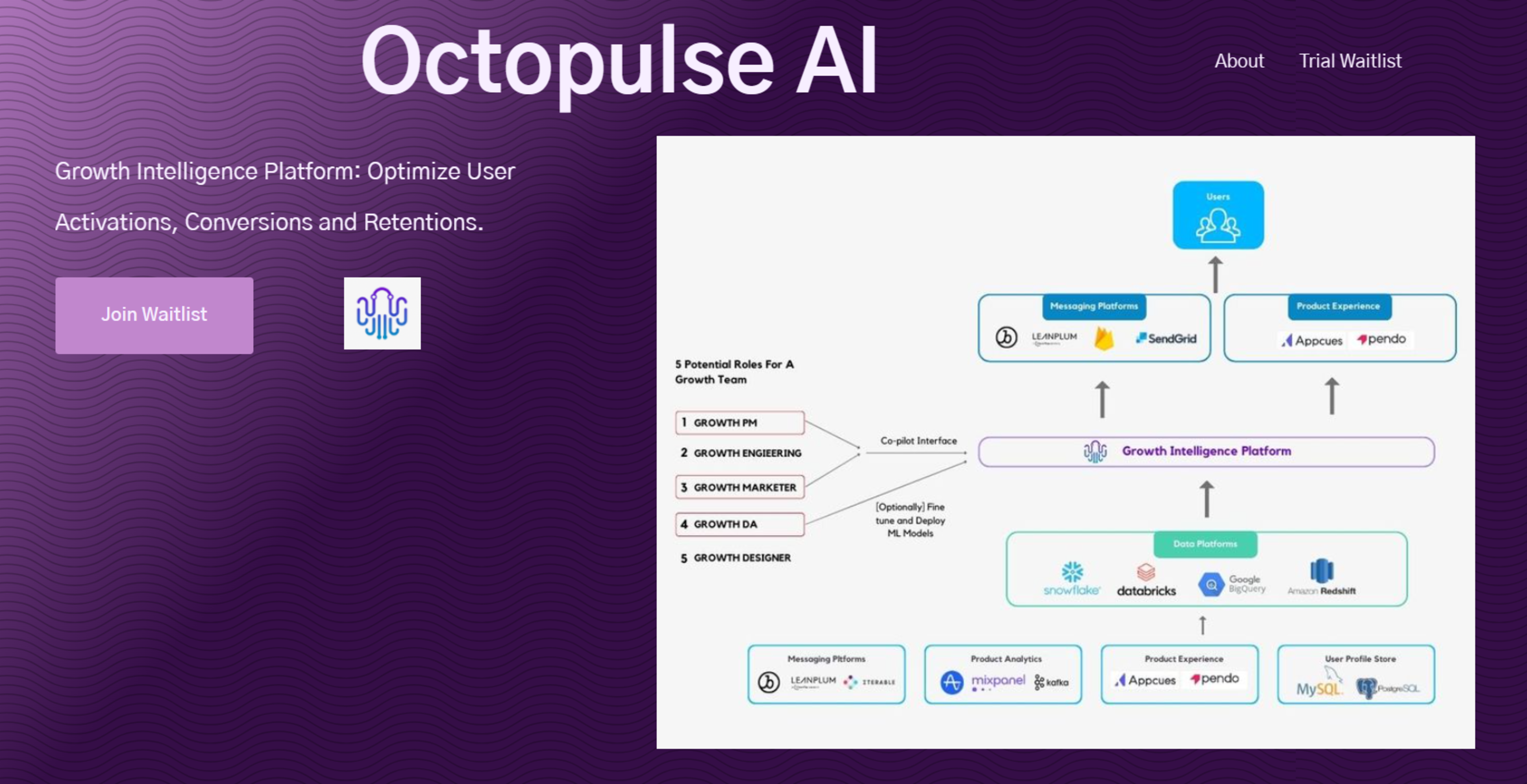 Octopulse AI