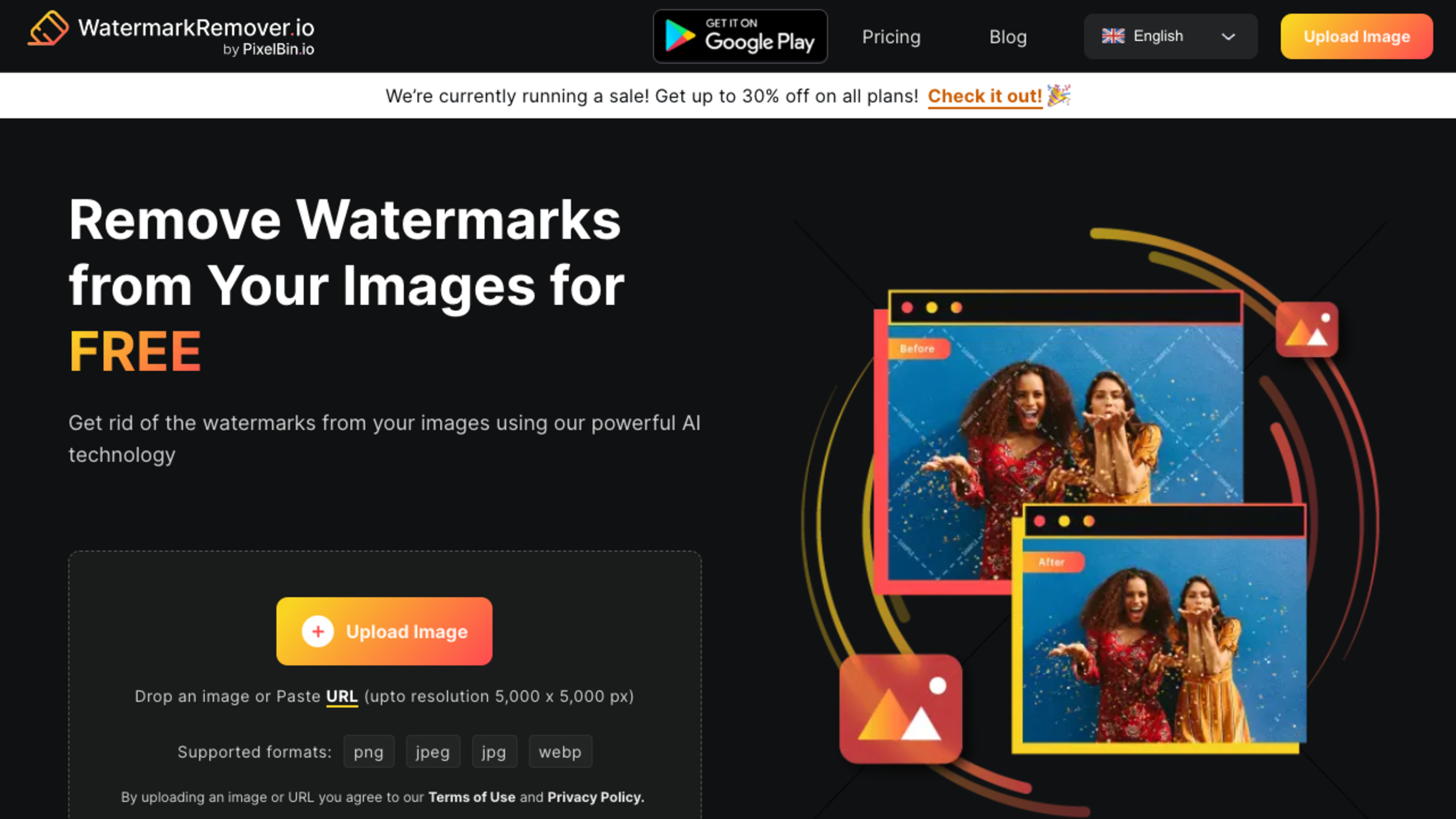 WatermarkRemover.io