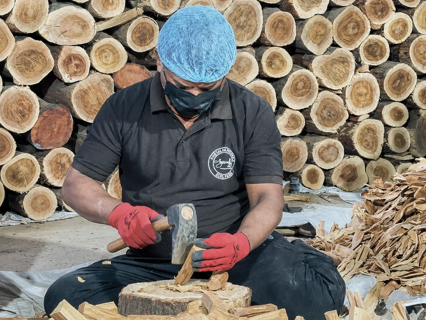 Sandalwood sorting process