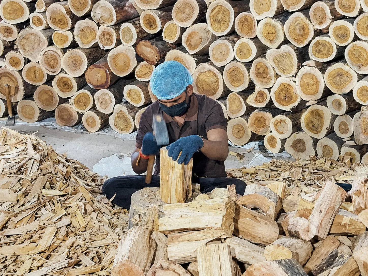 Prepared sandalwood stock