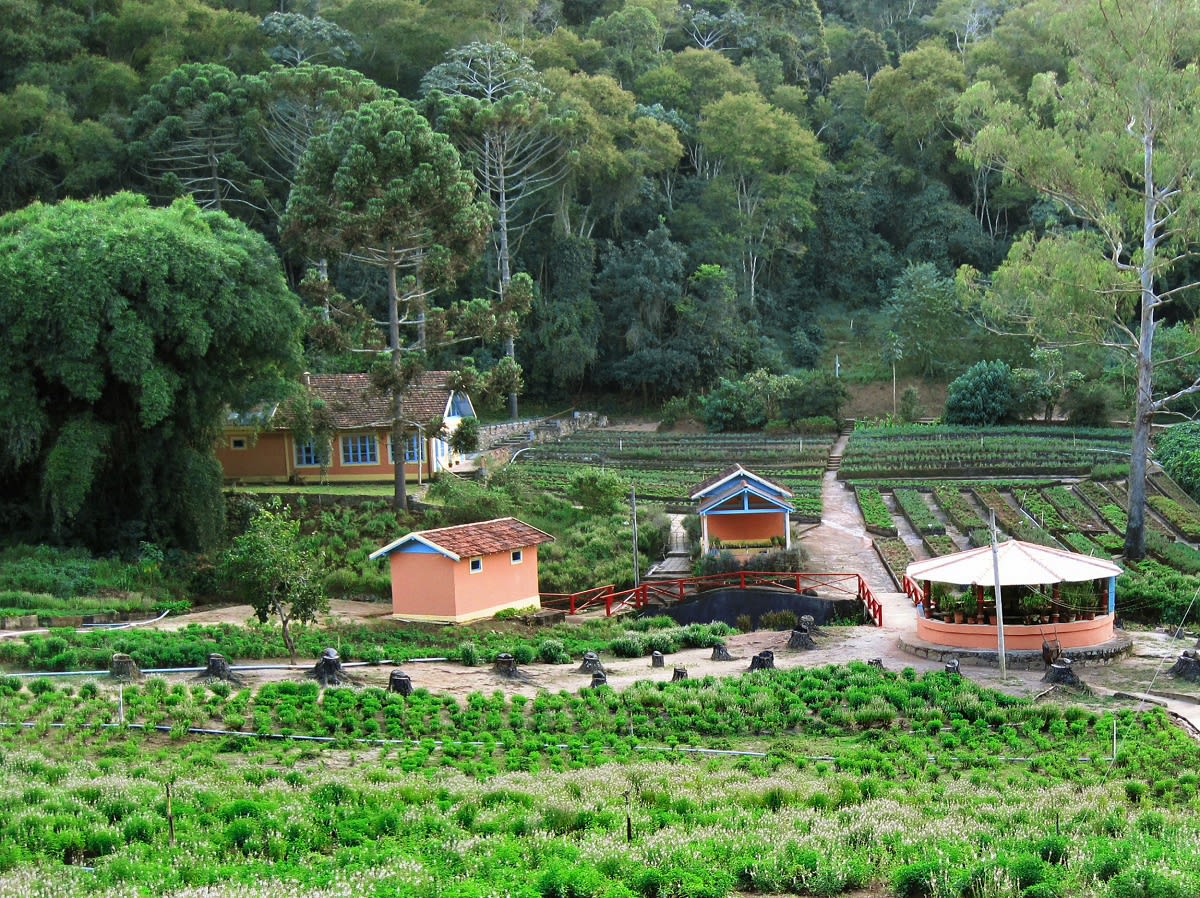 Circuito Eco Rural – Caminhos do Brejal