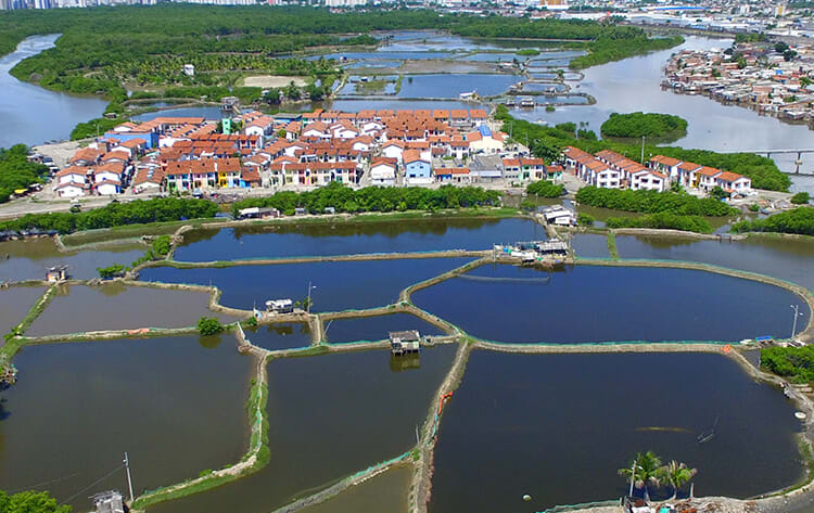Ilha de Deus & Cachaçaria – Saída Recife