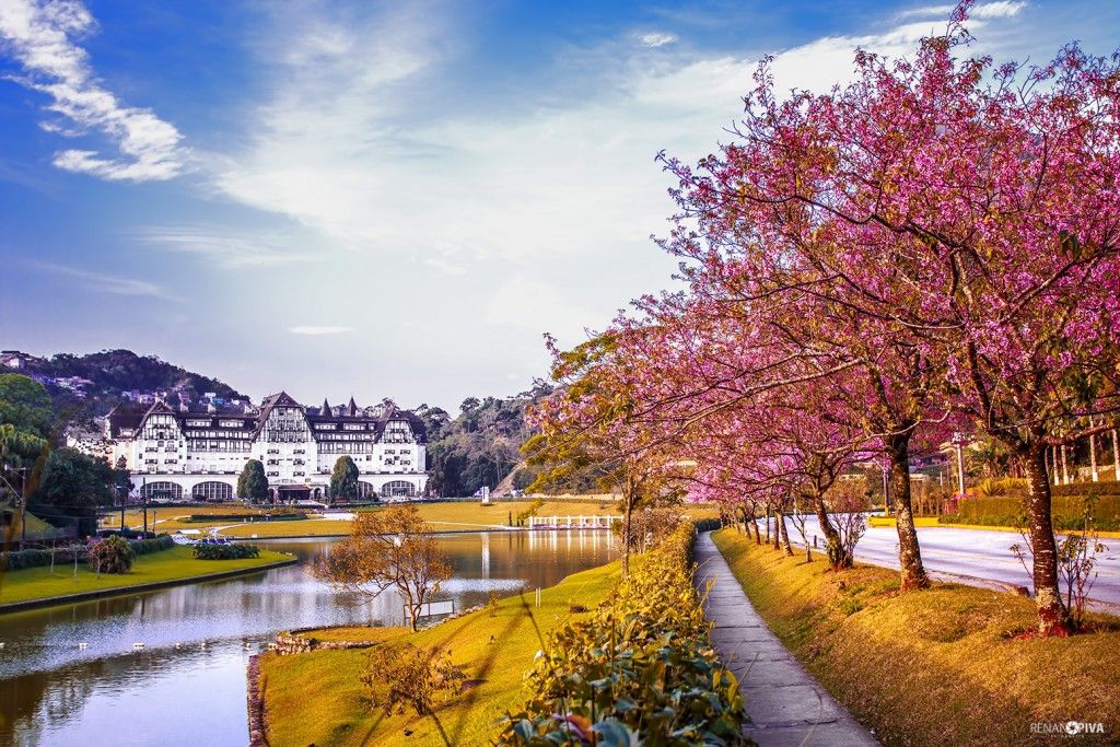 Petrópolis e Vale das Videiras
