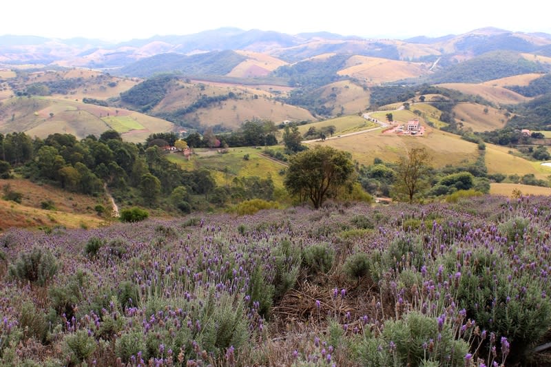 Estância Climática de Cunha