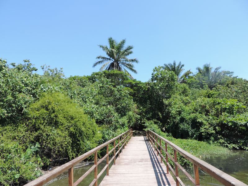 Passeio Mangue + Praia