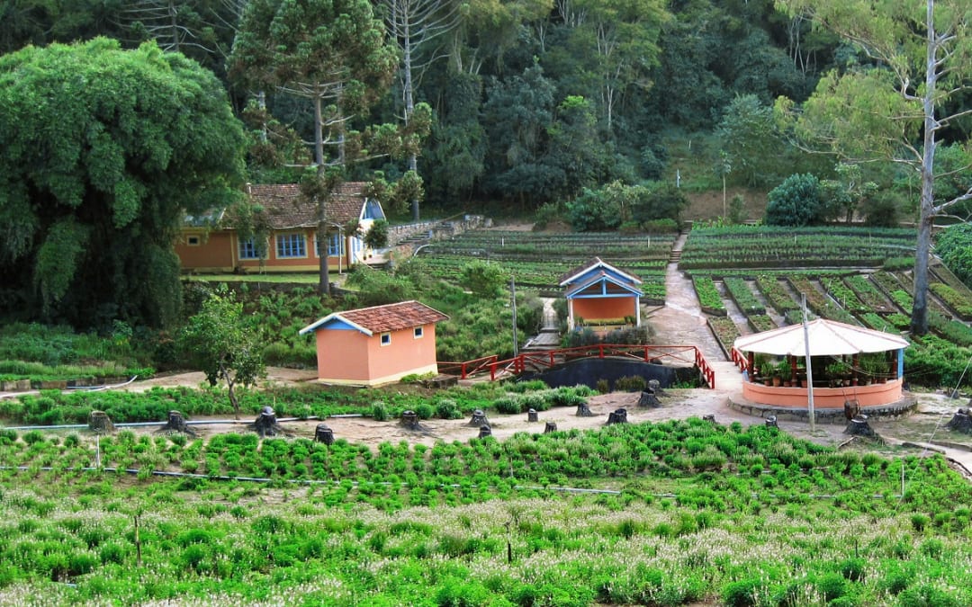 Circuito Eco Rural – Caminhos do Brejal