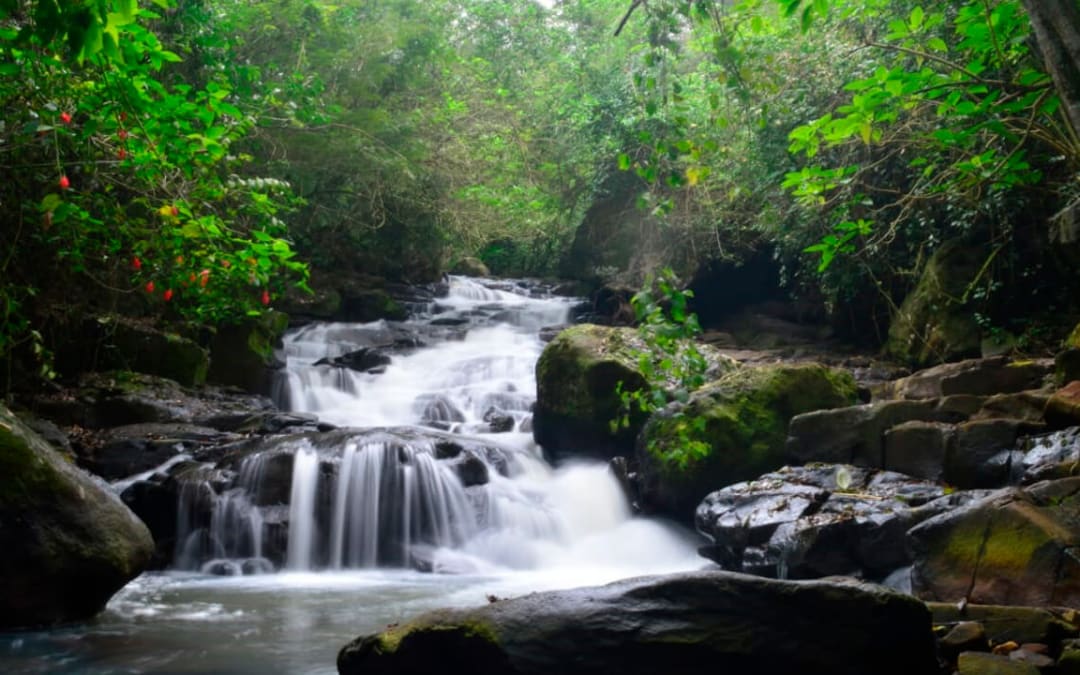 Tour Secret Falls