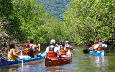 Canoagem Saco do Mamanguá