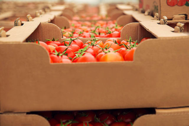 Vegetables