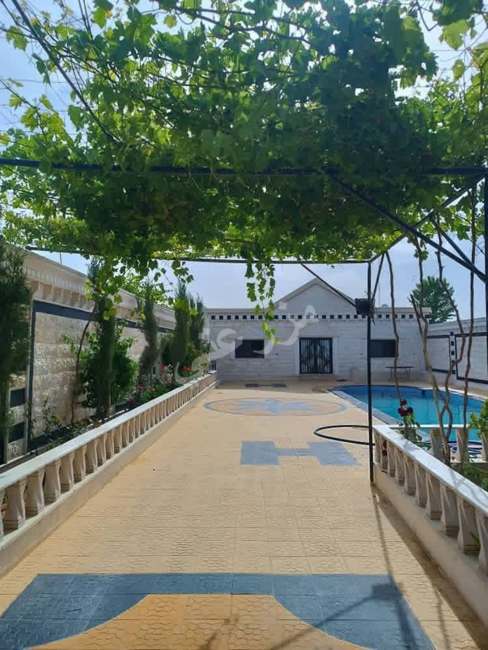 مزرعة الزبدين 10