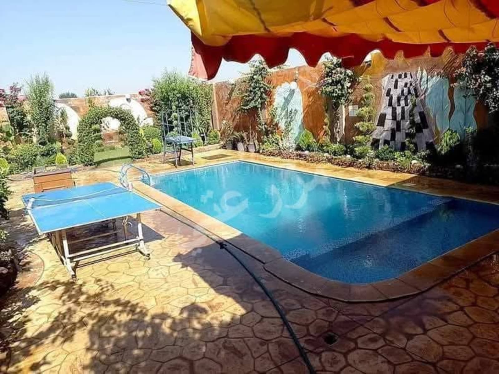 مزرعة الزبدين 11