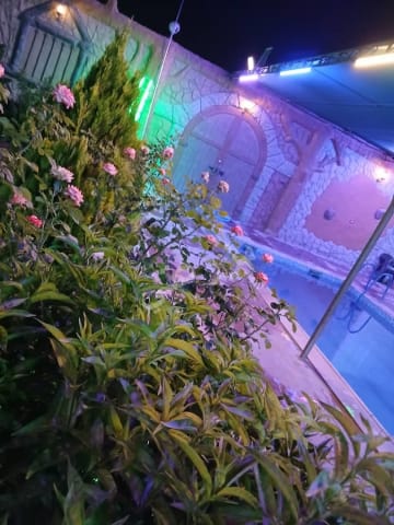 صورة مزرعة