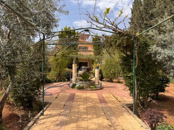 صورة مزرعة