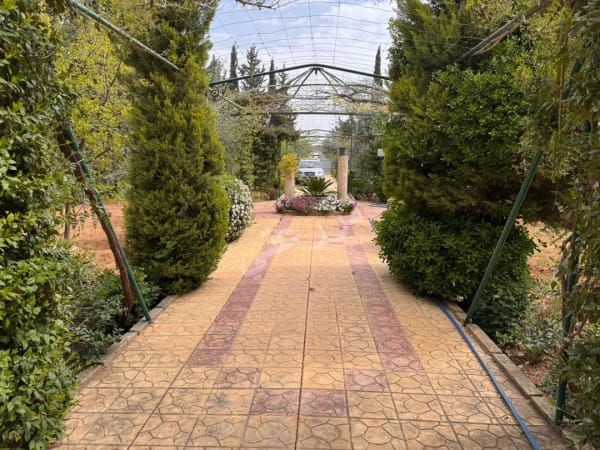 صورة مزرعة