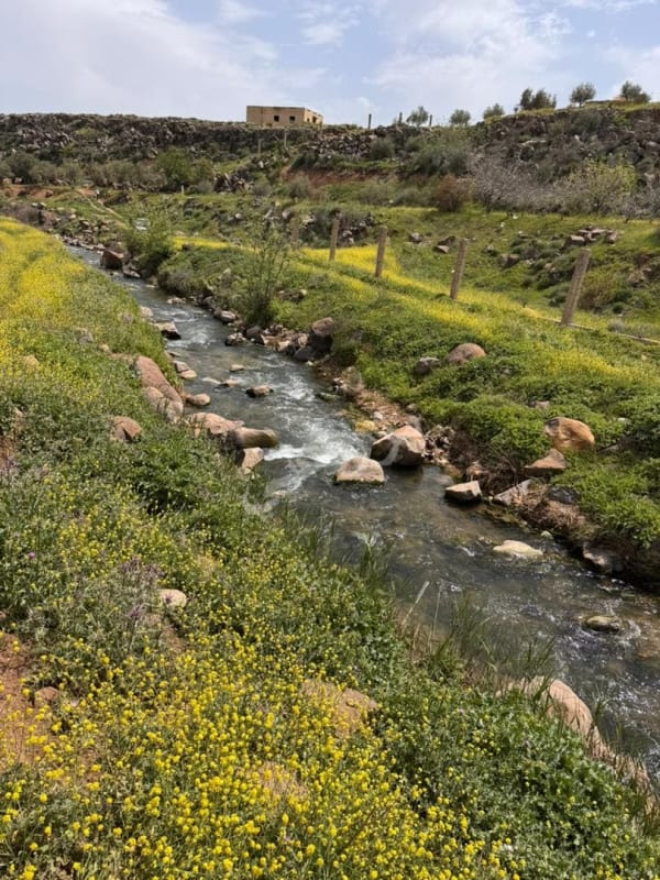 صورة مزرعة