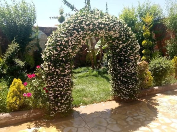 صورة مزرعة