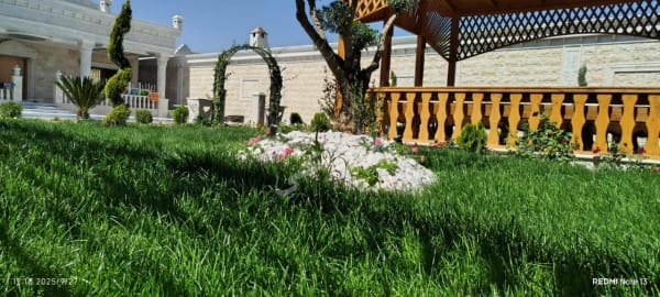 صورة مزرعة
