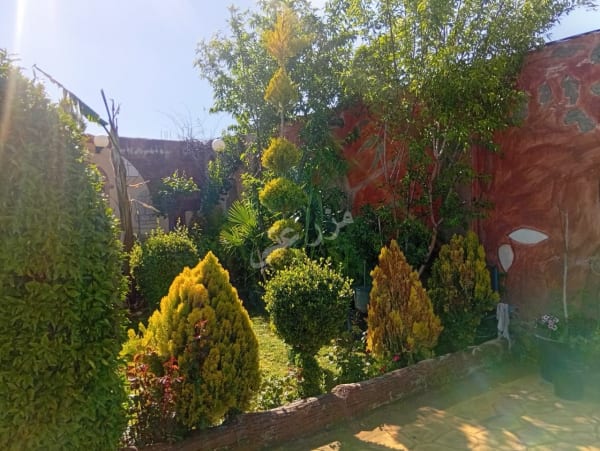 صورة مزرعة