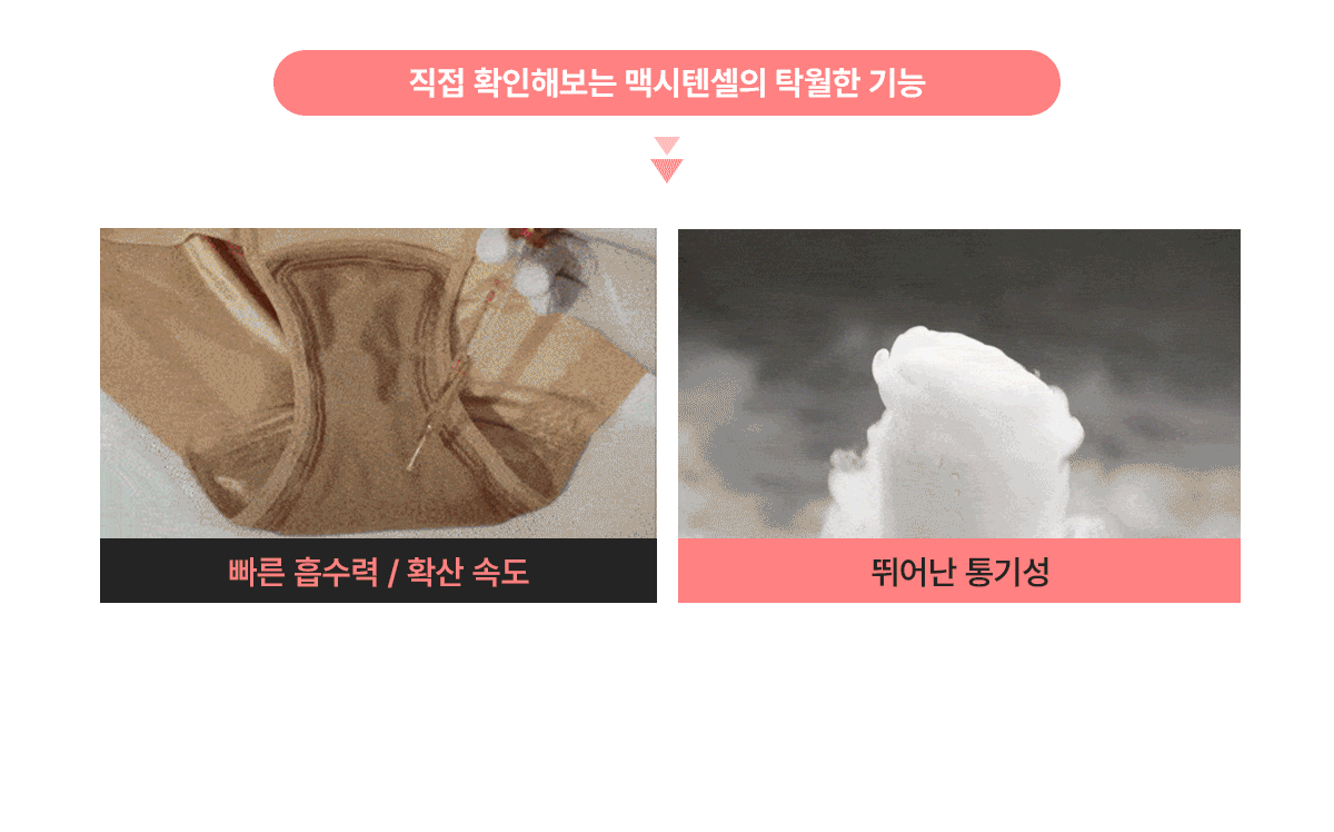 요실금팬티 맥시텐셀(여성용) 40cc 상세 4