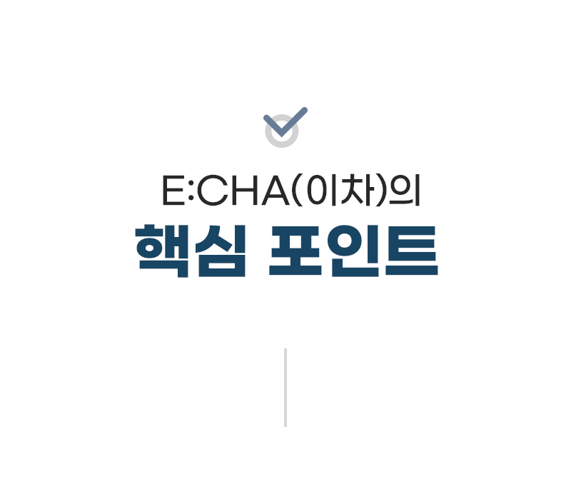 성인용보행기 이차(E:CHA) 실버카 상세 2