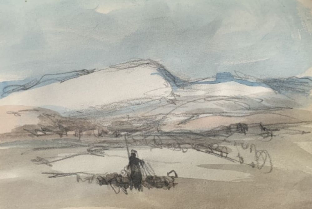 Tunisia, desert landscape with shepherd