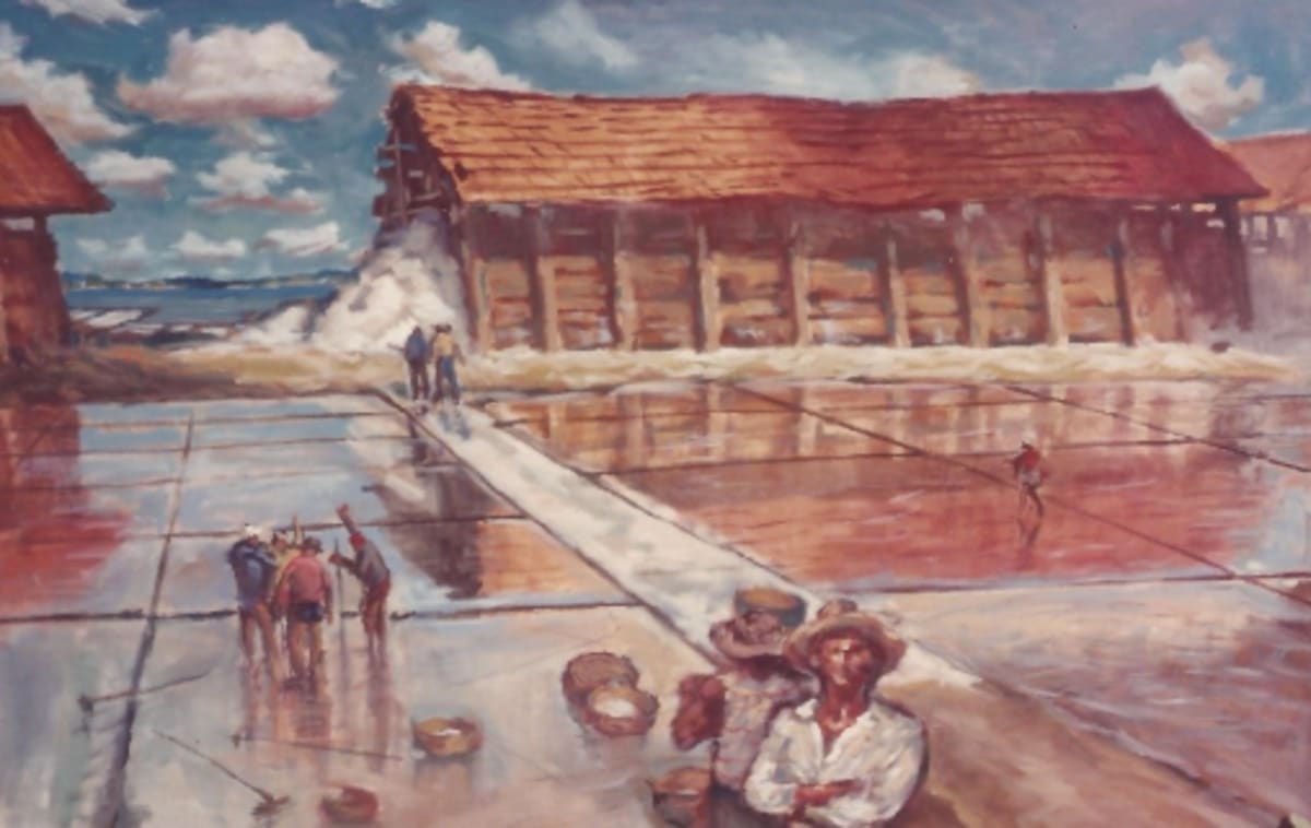 Salt harvesting