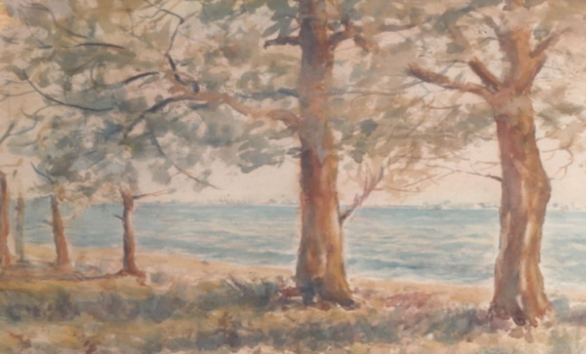 Araruama Lagoon, 1993