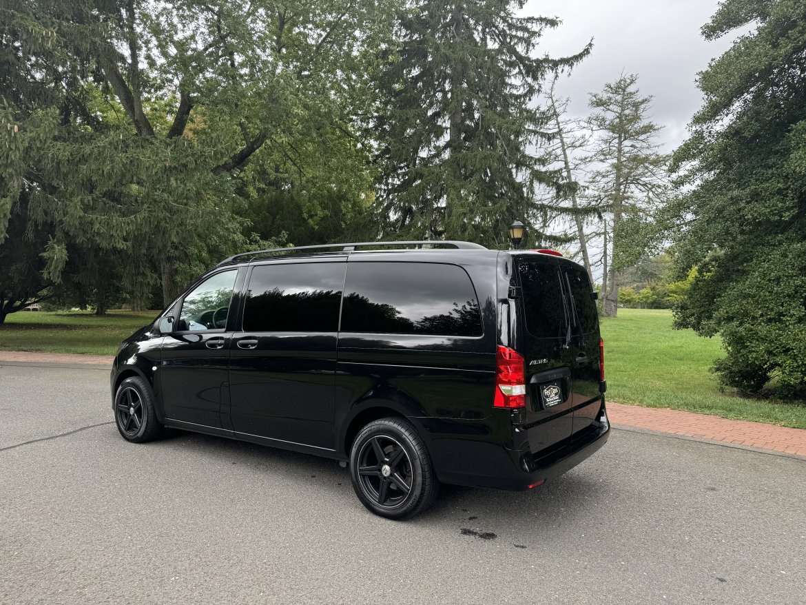 2020 Mercedes-Benz Metris CEO