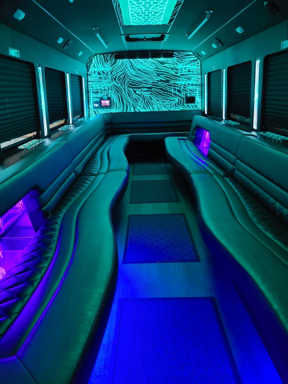 2015 Ford F-550 Limo Bus