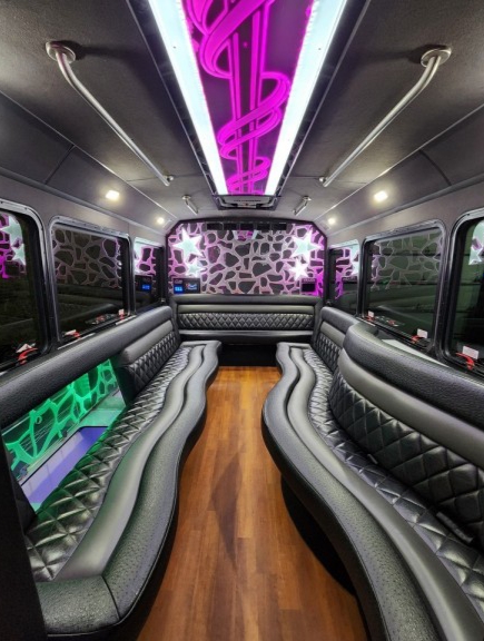 2013 Ford F-450 Limo Bus