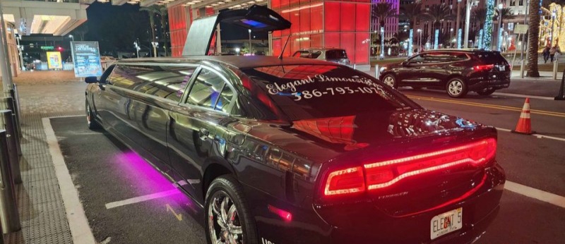 2014 Dodge Charger Limousine