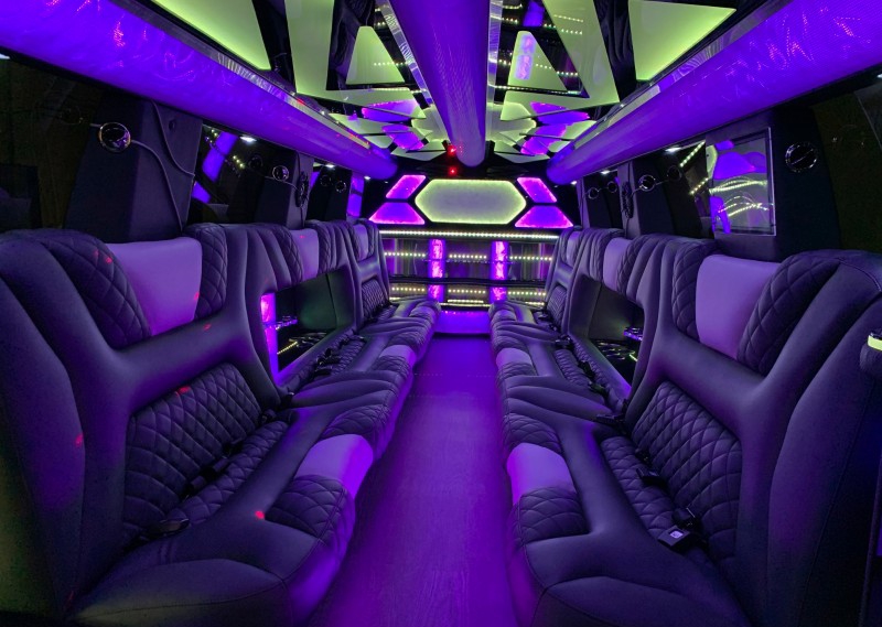 2019 Infinity QX80 Limousine