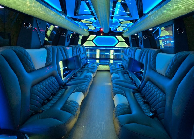 2019 Infinity QX80 Limousine