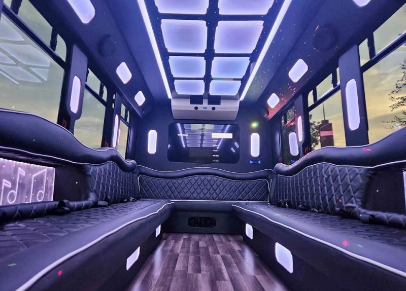 2014 Ford E-450 Limo Bus