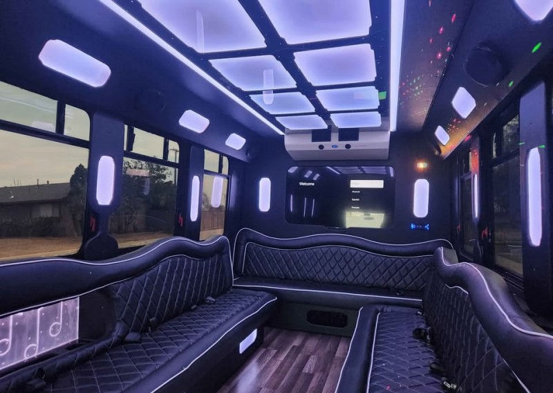2014 Ford E-450 Limo Bus