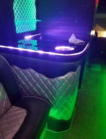 2011 Freightliner Workhorse Motorcoach Limo