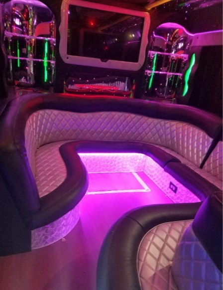 2011 Freightliner Workhorse Motorcoach Limo