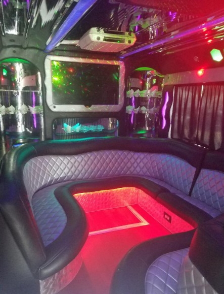 2011 Freightliner Workhorse Motorcoach Limo