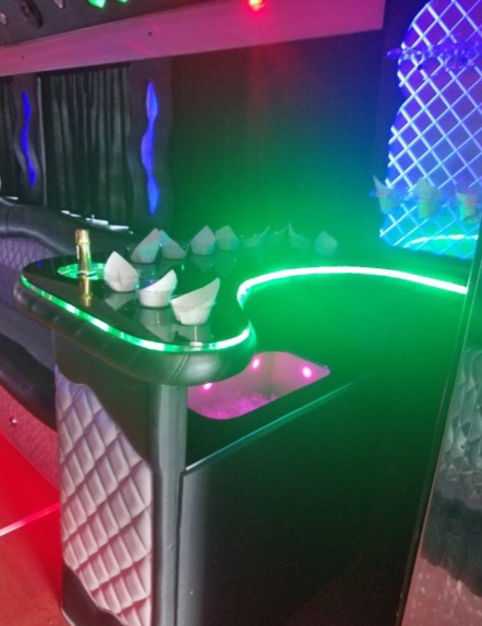 2011 Freightliner Workhorse Motorcoach Limo