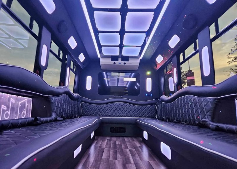 2014 Ford E-450 Limo Bus