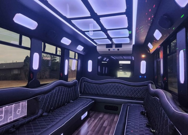 2014 Ford E-450 Limo Bus