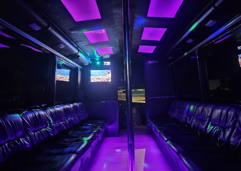 2009 Ford E-450 Party Bus For Sale