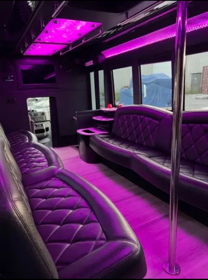 2011 Ford E-450 Limo Bus